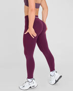 Mallas sin costuras Evolve 